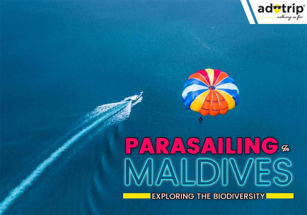Parasailing In Maldives